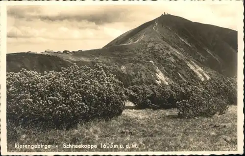 Schneekoppe Riesengebirge x