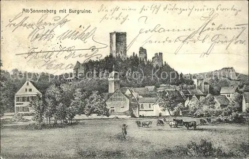 Sonnenberg Wiesbaden mit Burgruine Kat. Wiesbaden