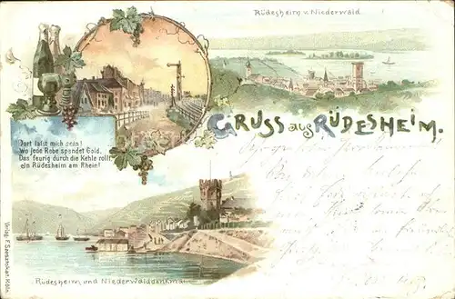 Ruedesheim Rhein vom Niederwald mit Nationaldenkmal  Kat. Ruedesheim am Rhein