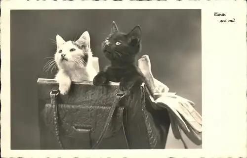 Katzen Tasche Kat. Tiere