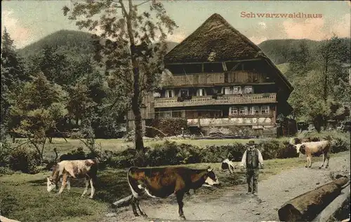 Schwarzwaldhaeuser Kuehe  Kat. Gebaeude und Architektur