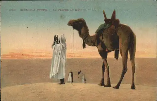 Kamele Typen Priere au Desert Kat. Tiere
