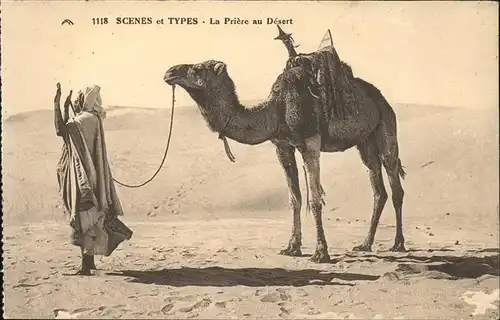 Kamele Priere au Desert Typen  Kat. Tiere