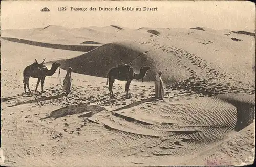 Kamele Passage des Dunes de Sable au Desert Kat. Tiere