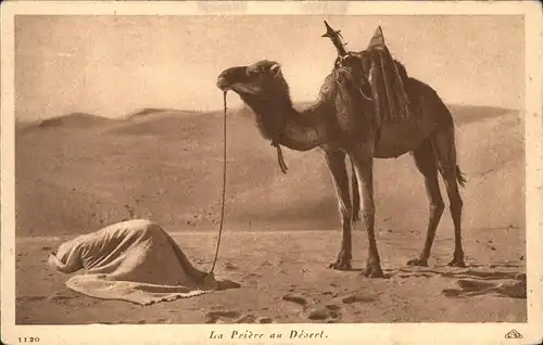 Kamele Priere au Desert Gebet Algerien Kat. Tiere