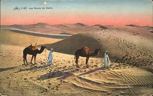 Kamele Typen Dunes de Sable Kat. Tiere