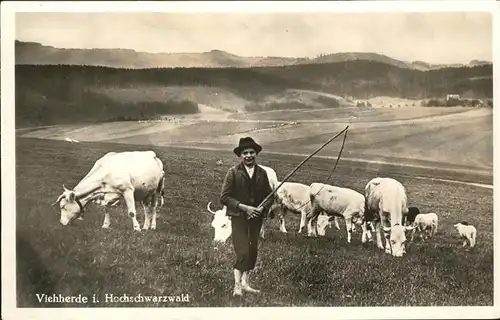 Hirte Hochschwarzwald Kuehe Kind  Kat. Landwirtschaft