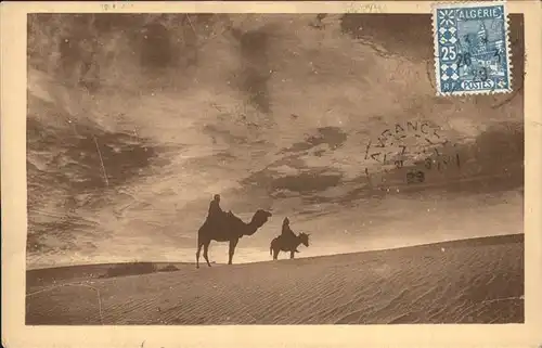 Kamele Laghouat Avant Coureurs de l Orage au Desert  Kat. Tiere