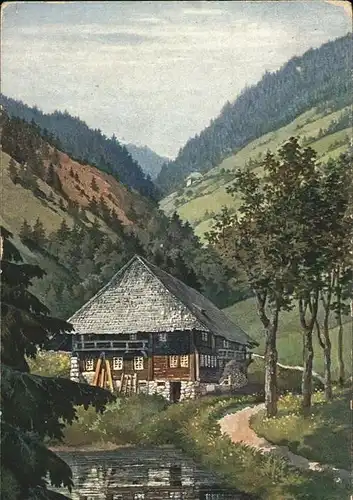 Lederle Karl Nr. 10 Hochschwarzwald Schwarzwaldhaus Kat. Schwarzwaldkuenstler