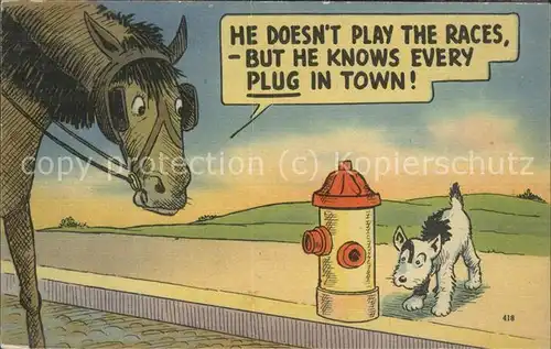 Humor Pferd Hund / Humor /