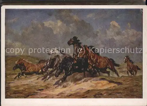 Kuenstlerkarte A. Roloff Fluechtende Pferde / Kuenstlerkarte /