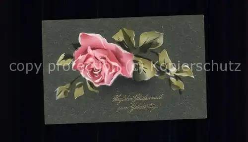 Rose Geburtstag / Pflanzen /