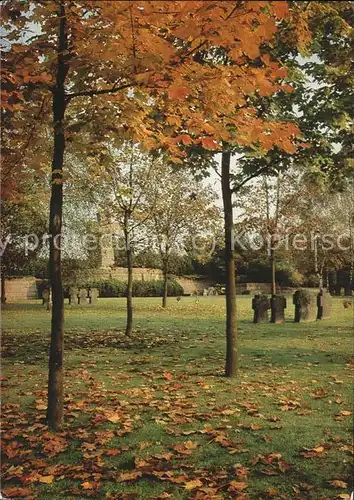Baeume Trees Deutscher Sodatenfriedhof Sandweiler/Luxemburg / Pflanzen /