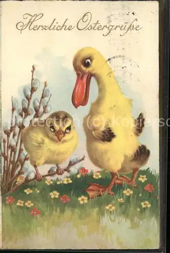 Ostern Easter Paques Kueken Ente / Greetings /