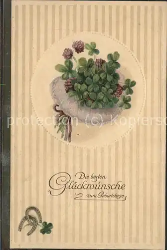 Geburtstag Glueckwuensche Blumen Hufeisen / Greetings /