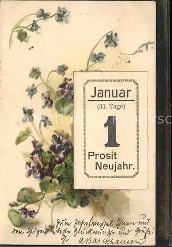 Neujahr Januar Kalenderblatt / Greetings /