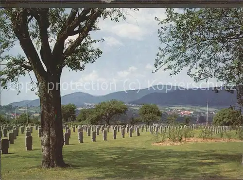 Tod Deutscher Soldatenfriedhof Niederbronn Frankreich / Tod /