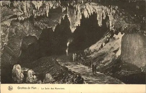 Hoehlen Caves Grottes Han Salle des Mamelons Kat. Berge