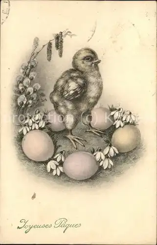 Ostern Easter Paques Kueken Ostereier / Greetings /