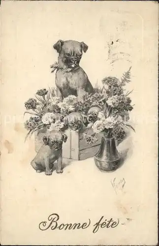 Hunde Blumen Kat. Tiere