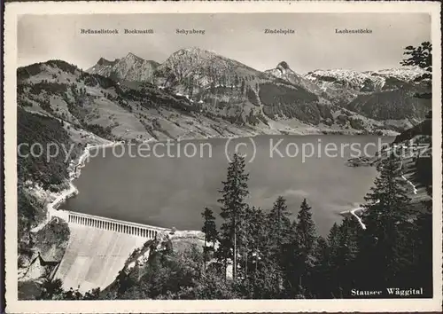 Staudamm Pumpspeicherkraftwerk Stausee Waeggital Zindelspitz Schynberg Kat. Gebaeude