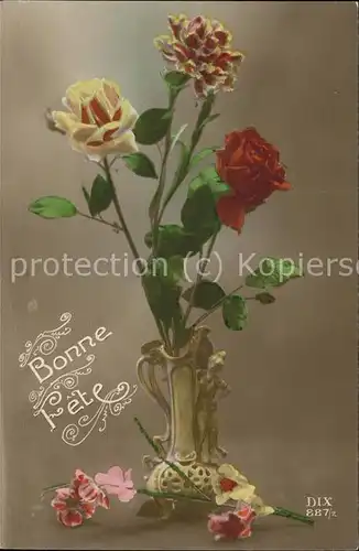 Rosen Bonne Fete Kat. Pflanzen