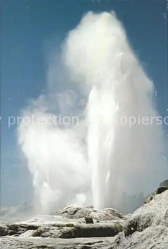 Vulkane Geysire Vulcans Geysers Pohutu Geyser Rotorua New Zealand Kat. Natur