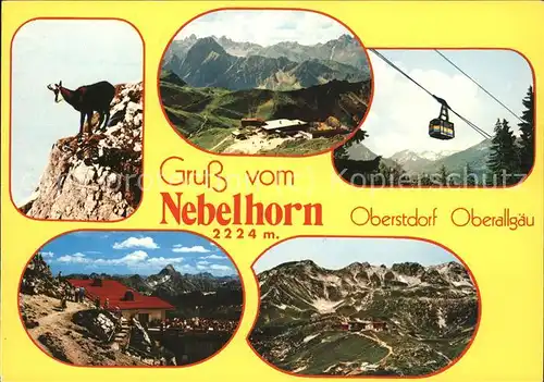 Seilbahn Nebelhorn Oberstdorf Gemse / Bahnen /