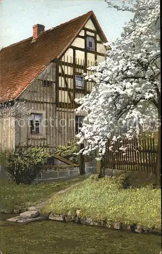 Baeume Trees Fruehling Haus Kat. Pflanzen