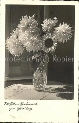 Blumen Vase Geburtstag Kat. Pflanzen