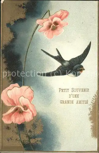 Voegel Petit Souvenir Grande Amitie Blume Kat. Tiere