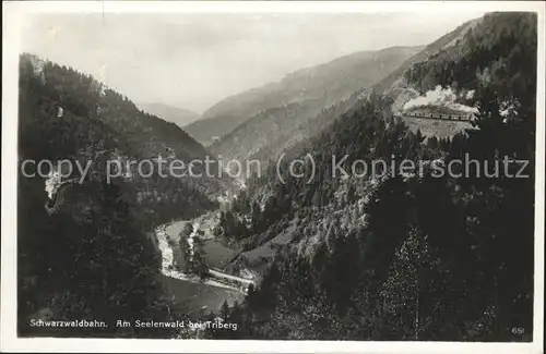 Bergbahn Schwarzwaldbahn Seelenwald Triberg Kat. Bergbahn