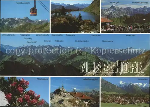 Seilbahn Nebelhorn Gipfel Alpenrosen / Bahnen /