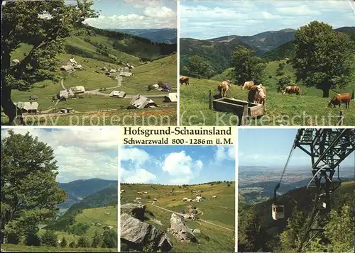 Seilbahn Kuehe Hofsgrund-Schauinsland Schwarzwald / Bahnen /