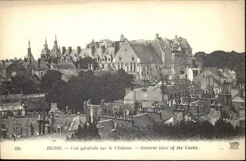 Blois Loir et Cher Le Chateau / Blois /Arrond. de Blois