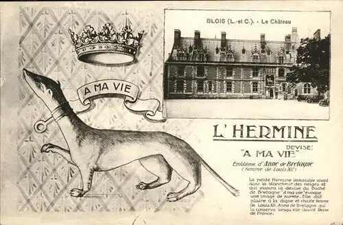 hw10326 Blois Loir et Cher Chateau L'Hermine Kategorie. Blois Alte Ansichtskarten