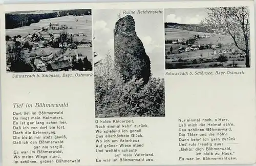 wd85960 Schwarzach Main Schwarzach bei Schoensee Ruine Reichenstein   Kategorie. Schwarzach a.Main Alte Ansichtskarten