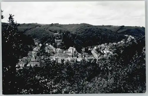 Nuerburg Neuerburg Eifel  * / Nuerburg /Ahrweiler LKR