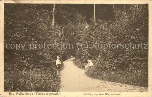 Bad Rothenfelde Teutoburgerwald Obersundern Kat. Bad Rothenfelde