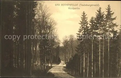Bad Rothenfelde Waldpartie Waldweg  Kat. Bad Rothenfelde