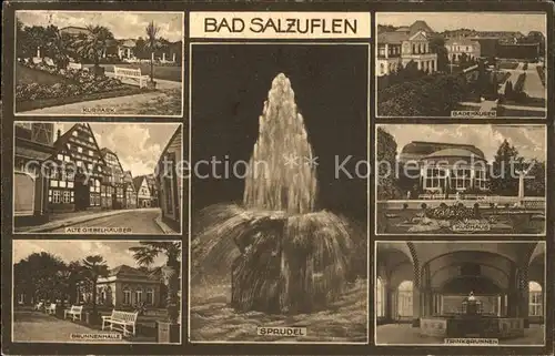 Bad Salzuflen Kurpark Trinkbrunnen Kurhaus Kat. Bad Salzuflen