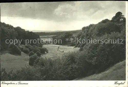 Koenigstein Taunus Woogtal Kat. Koenigstein im Taunus