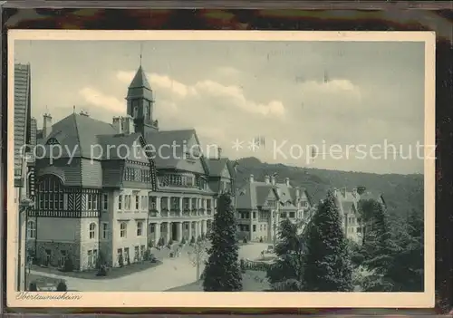 Falkenstein Taunus Obertaunusheim Kat. Koenigstein im Taunus