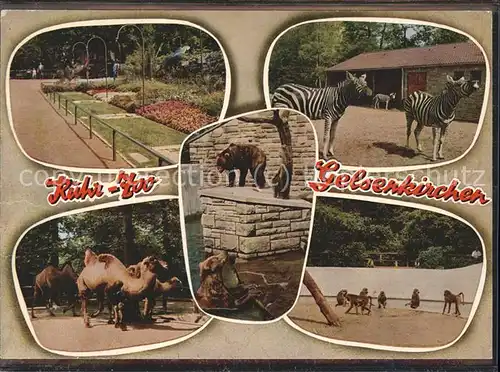Gelsenkirchen Ruhr-Zoo Kamele Affen Baeren Zebras / Gelsenkirchen /Gelsenkirchen Stadtkreis