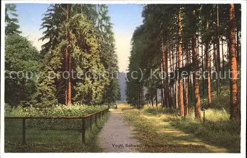 Poehl Vogtland Vogtl. Schweiz Pyramiden Wiese Triebtal Kat. Poehl Vogtland