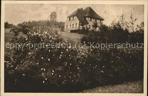 Plauen Vogtland Am Kemmler Kat. Plauen