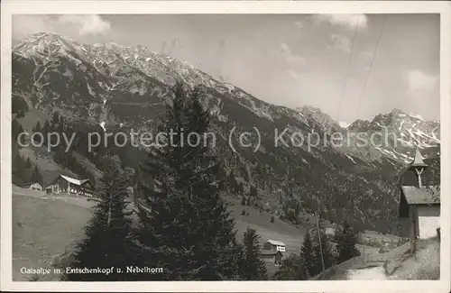 Oberstdorf Gaisalpe mit Entschenkopf und Nebelhorn Kat. Oberstdorf