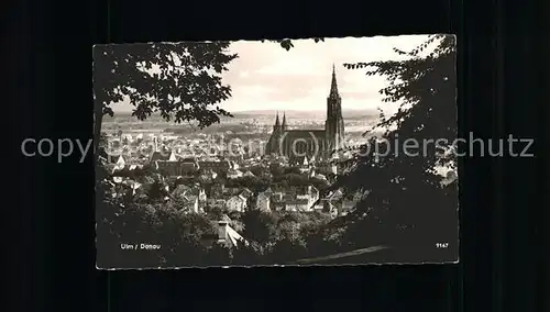 Ulm Donau Teilansicht mit Muenster Kat. Ulm