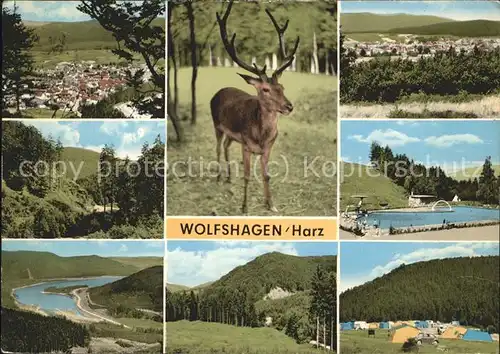 Wolfshagen Harz Total und Teilansichten Hirschmotiv Campingplatz Schwimmbad Kat. Langelsheim