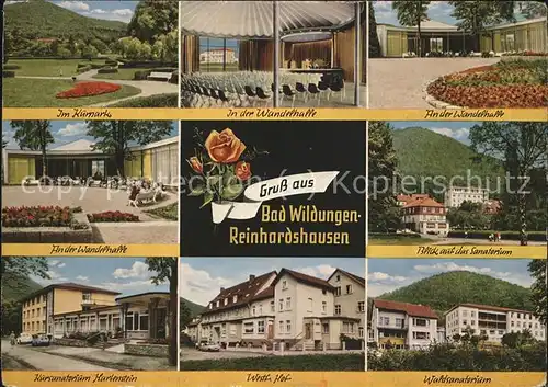 Reinhardshausen Kurpark Wandelhalle Sanatorium Hartenstein Westf Hof Waldsanatorium Kat. Bad Wildungen
